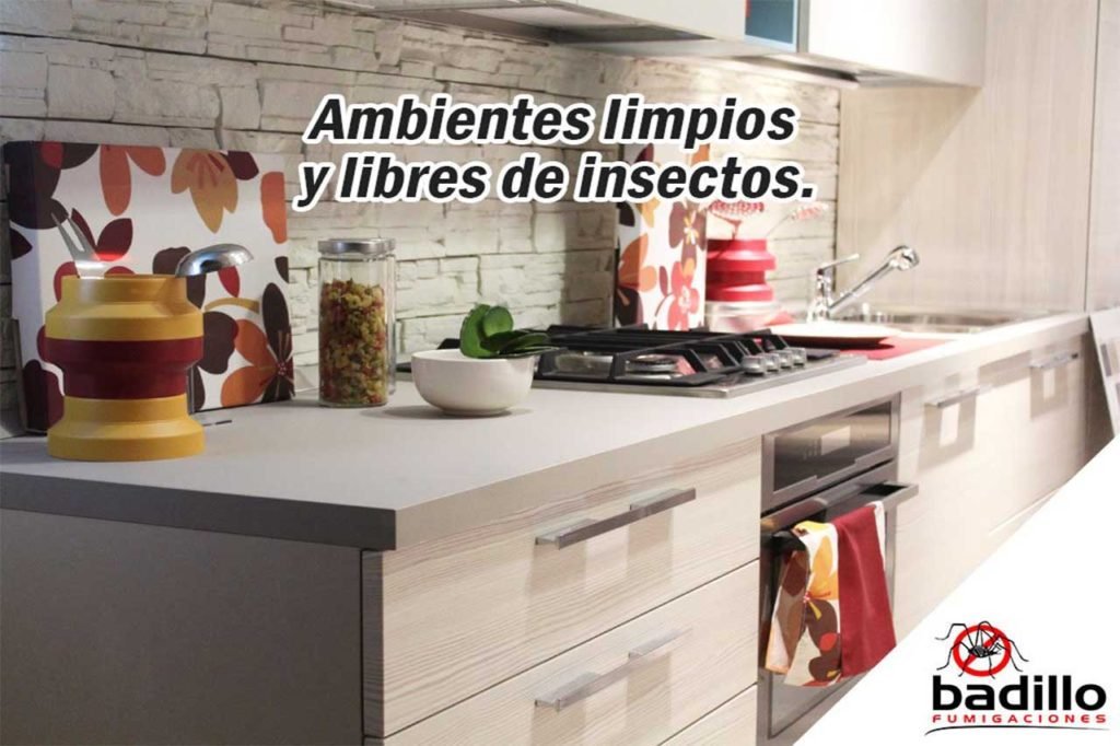 Fumigaciones en Aguascalientes