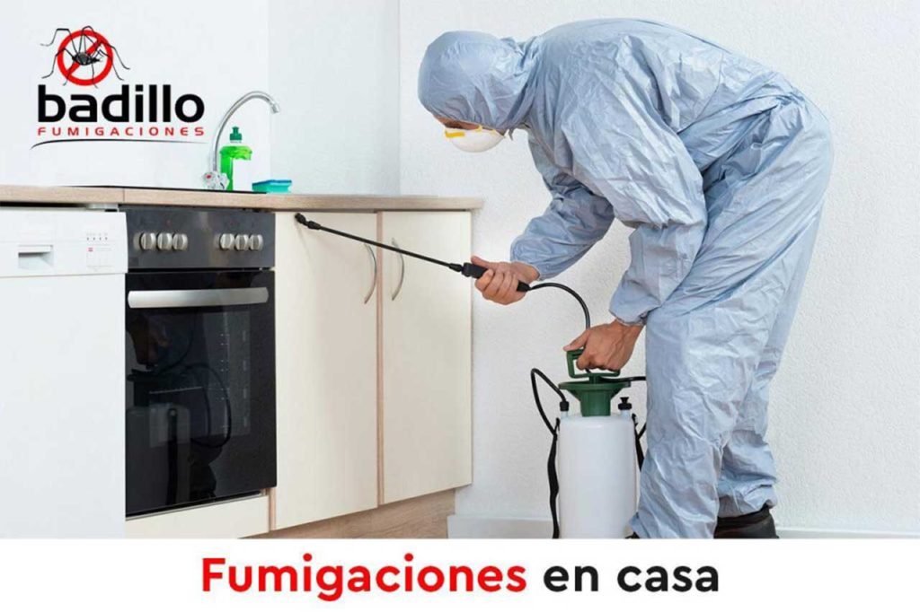 fumigación de casas