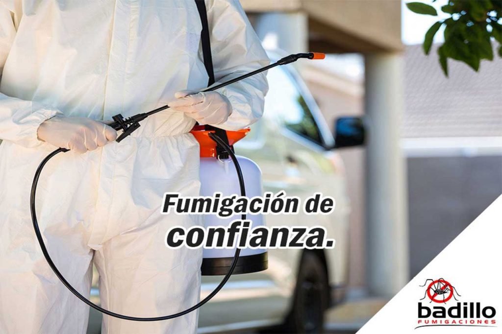 fumigaciones para casa en Aguascalientes