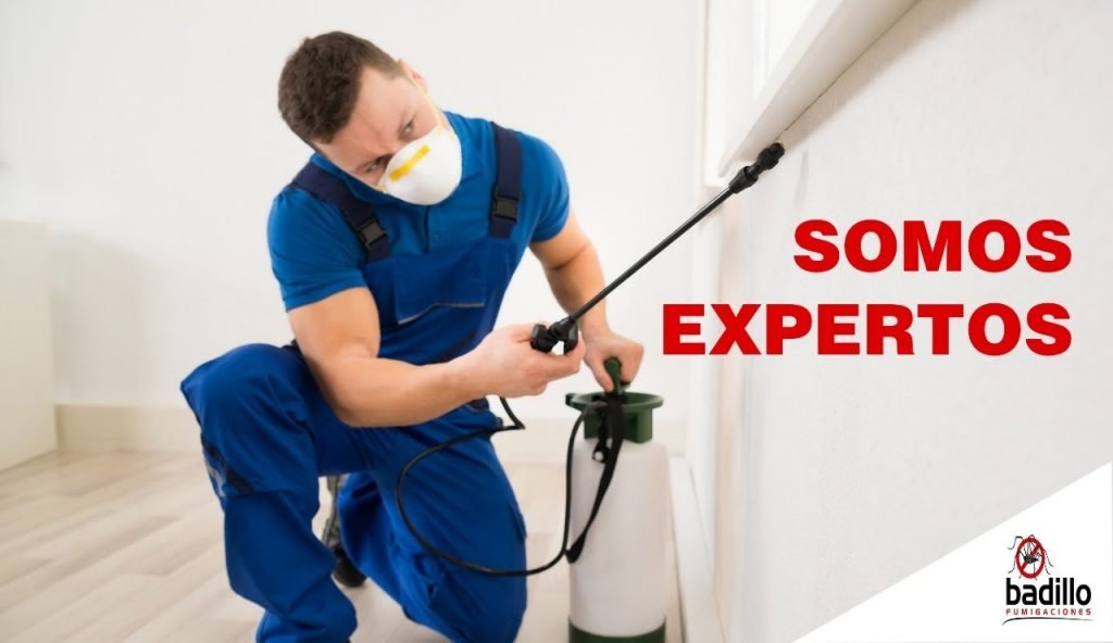 Fumigaciones Para Eventos