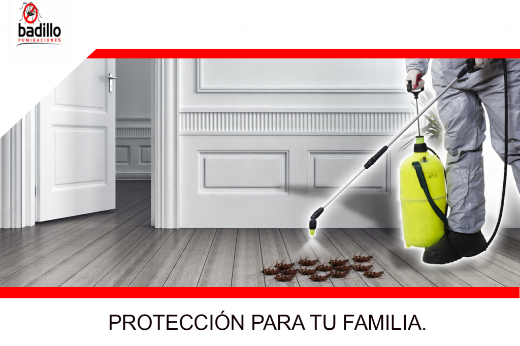 Fumigaciones para tecuejos