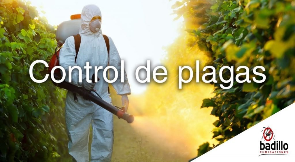 fumigaciones no tóxicas