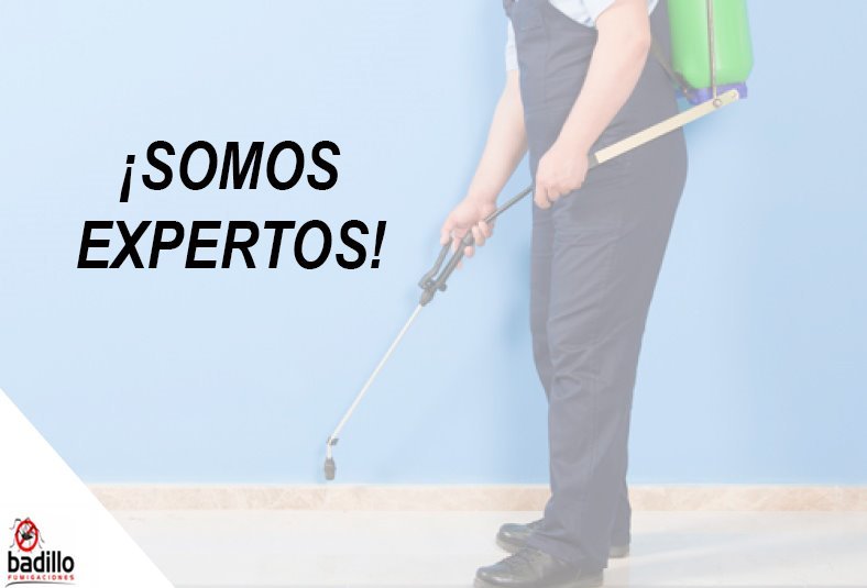 Fumigaciones industriales en Aguascalientes