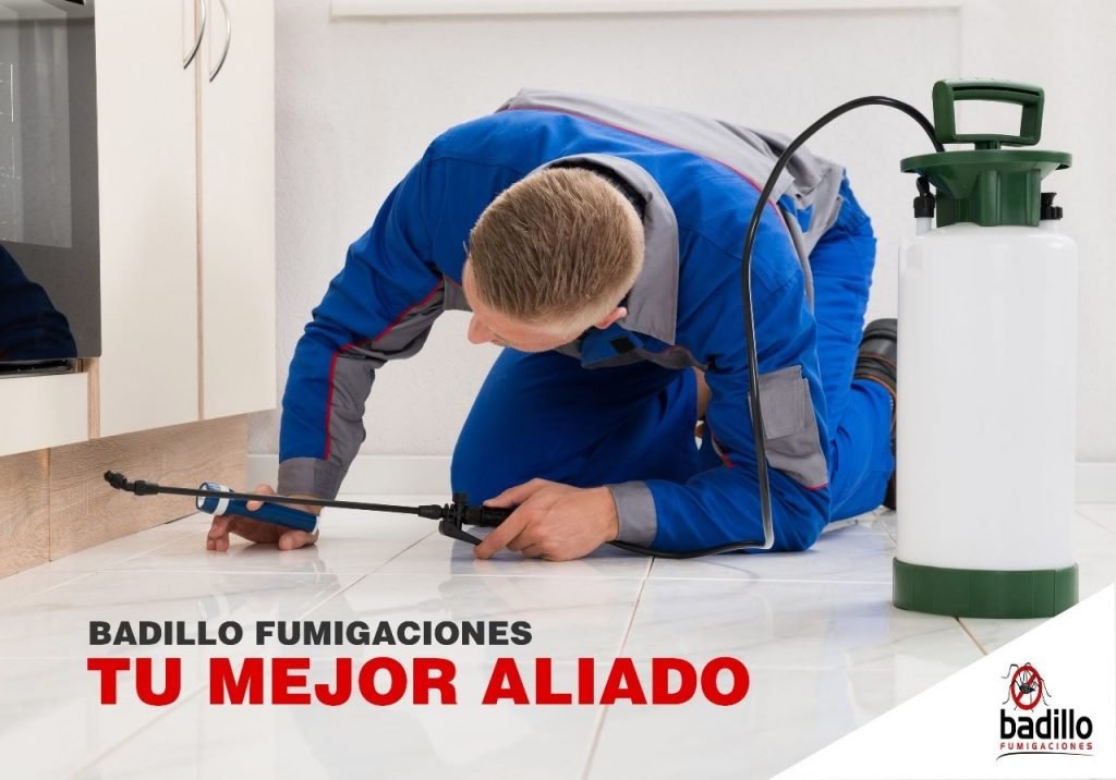 Fumigaciones para restaurantes