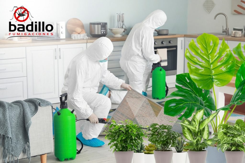 Fumigaciones biodegradables