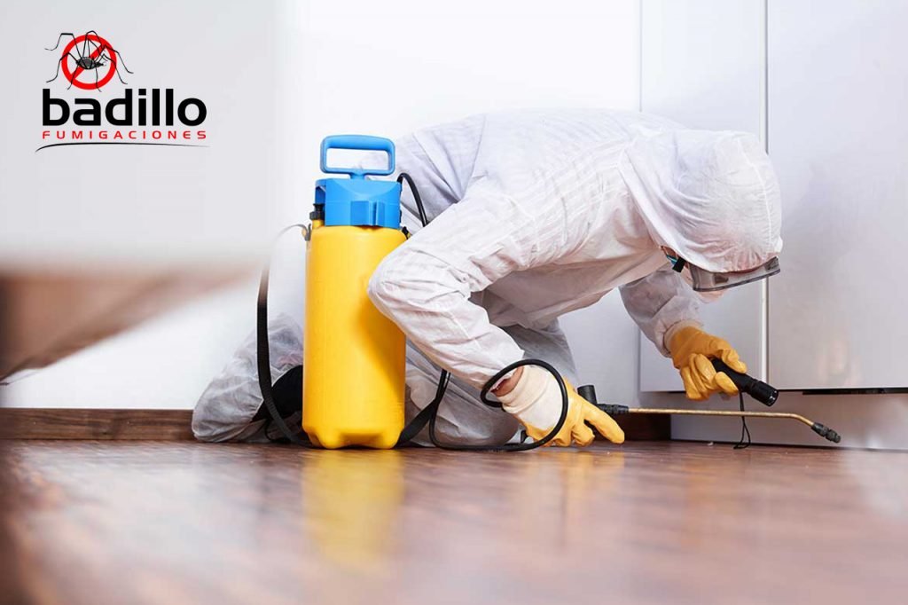 Fumigaciones integrales en Aguascalientes