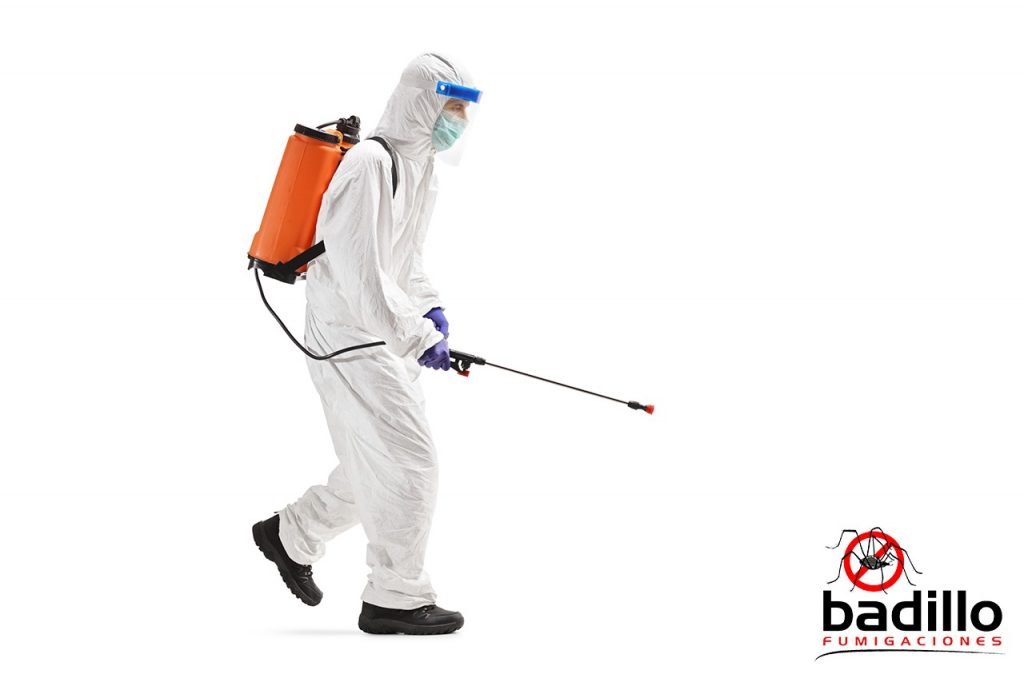 Servicio de fumigación doméstico