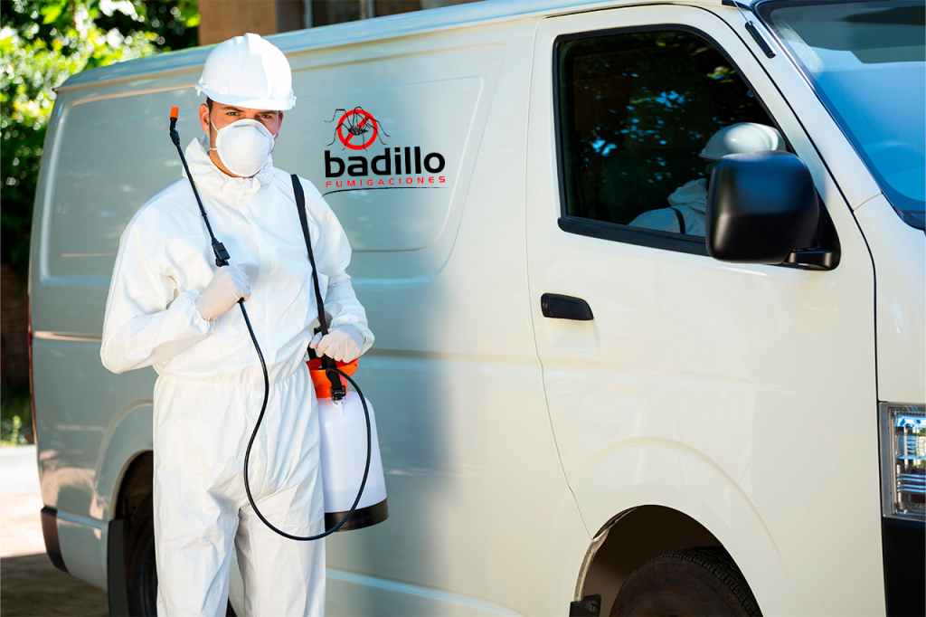 servicio de fumigaciones integrales
