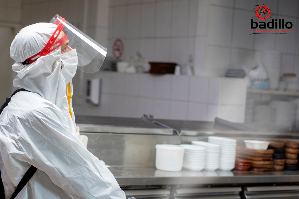 Control de plagas en restaurantes