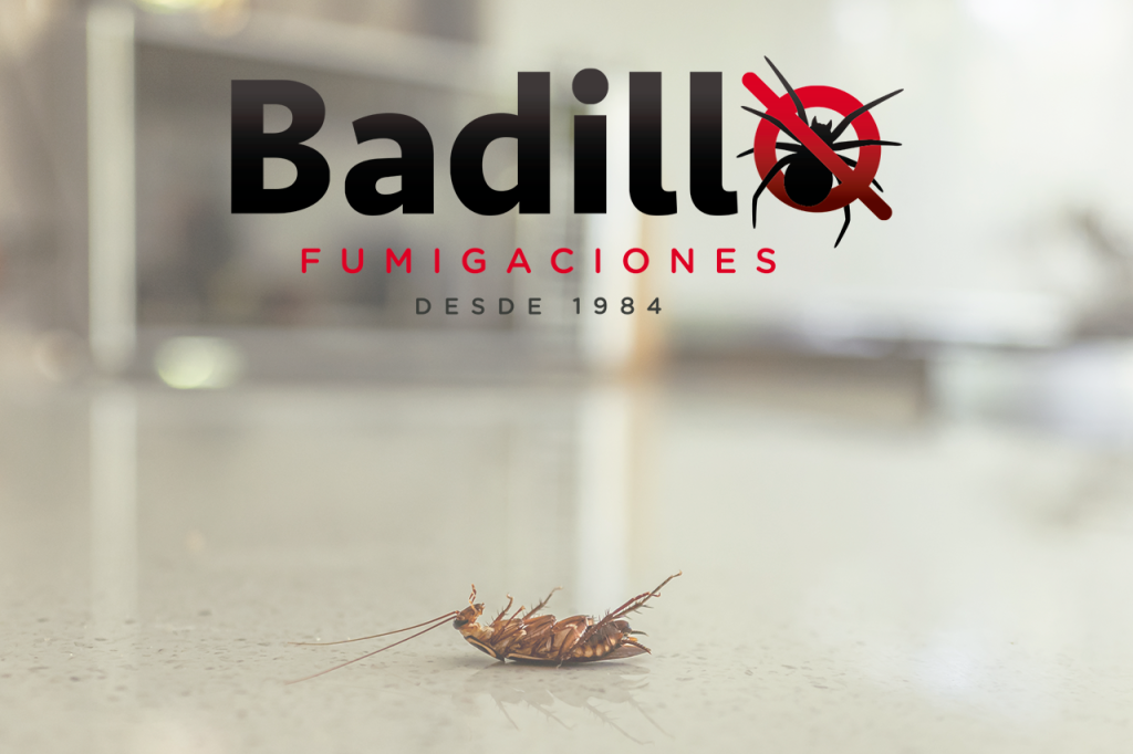 Insecticidas y Fumigación en Aguascalientes