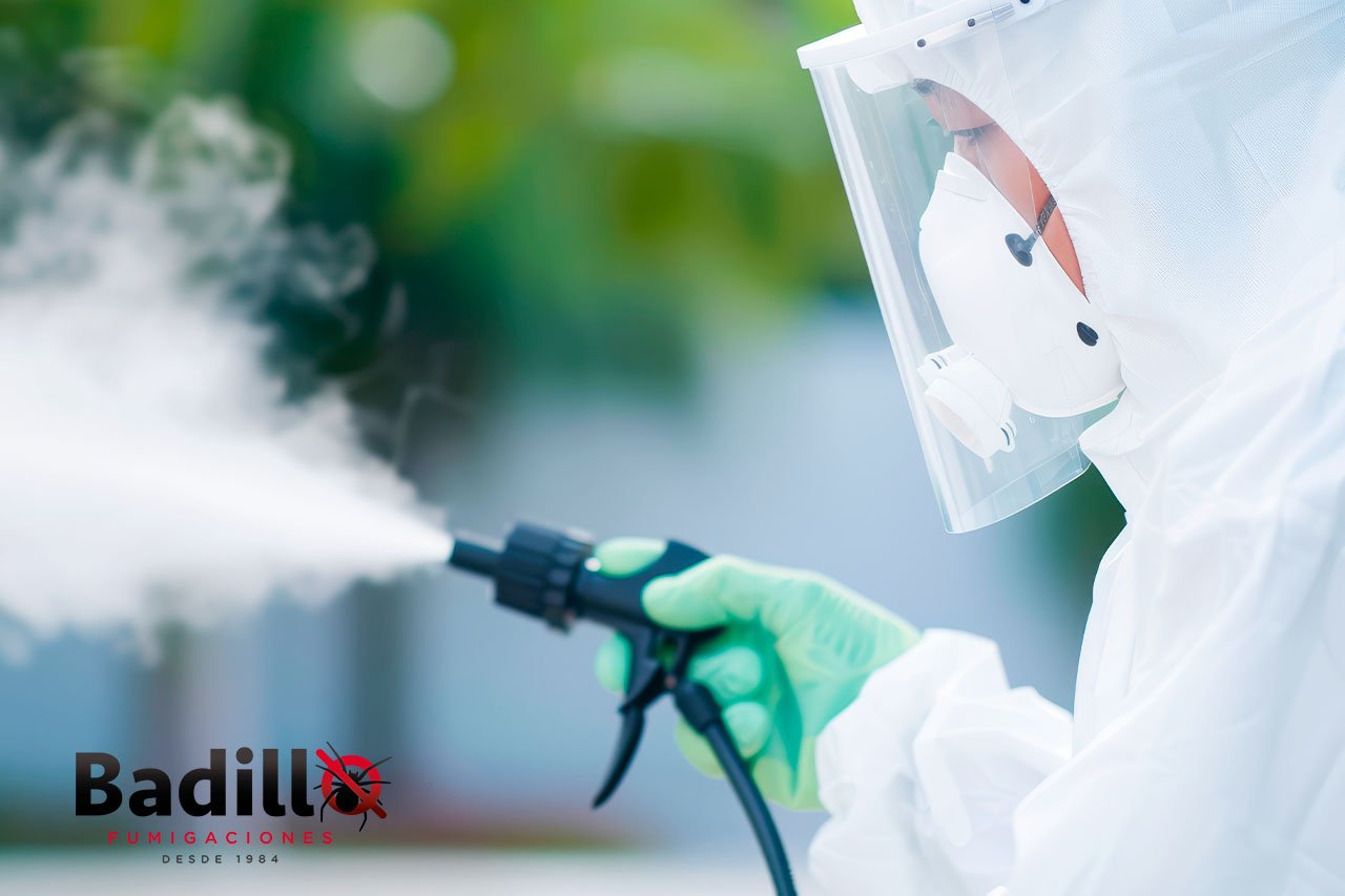 Fumigación Profesional con Productos de Alta Calidad