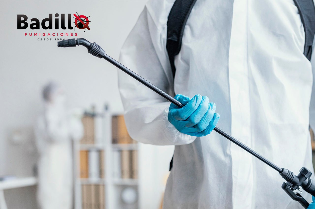 ¿Cada cuánto se debe fumigar una casa?