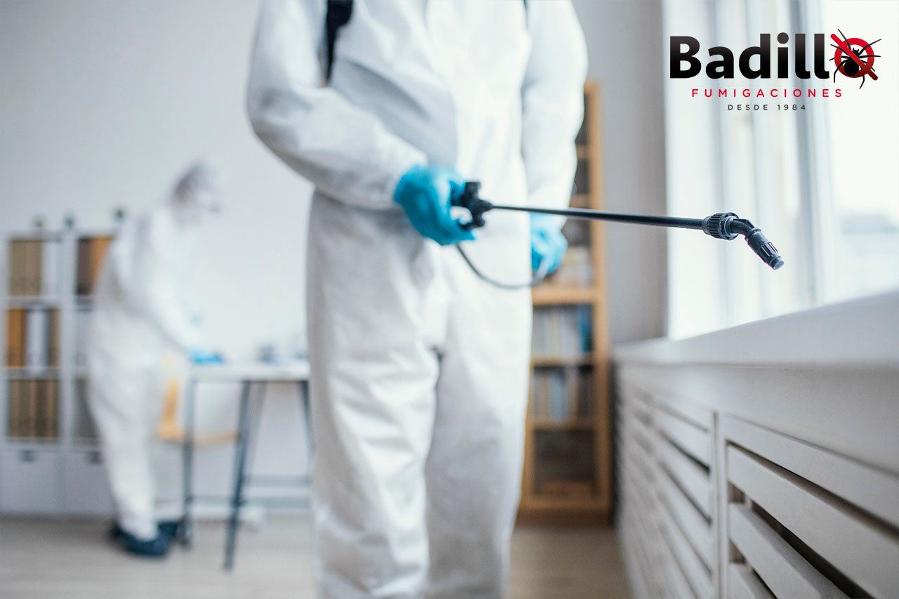 Diferencia entre fumigación, desinfección y control de plagas