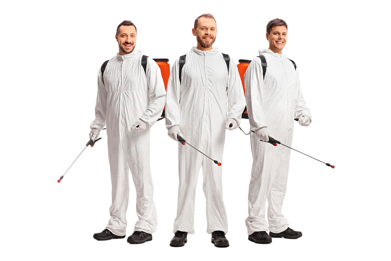 Equipo de Fumigaciones Badillo